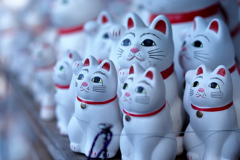 招き猫のお寺・豪徳寺_e0348392_20101825.jpg