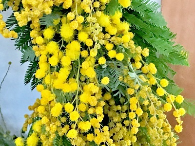 暮らしの中の私の小さな幸せ.。*゚・*:.。.:+:*_d0249193_22431857.jpg