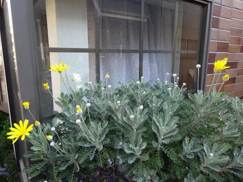 c0322794_23511112.jpg