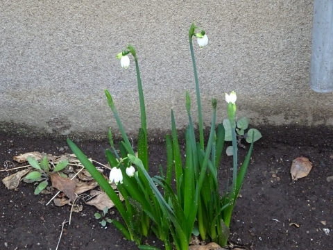 c0322794_23513896.jpg