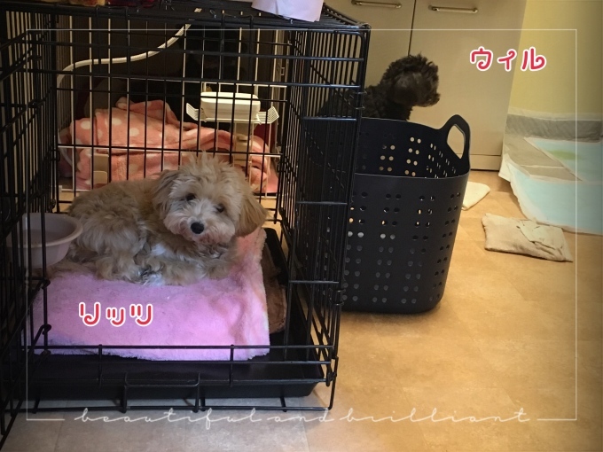 d0269898_18281106.jpeg