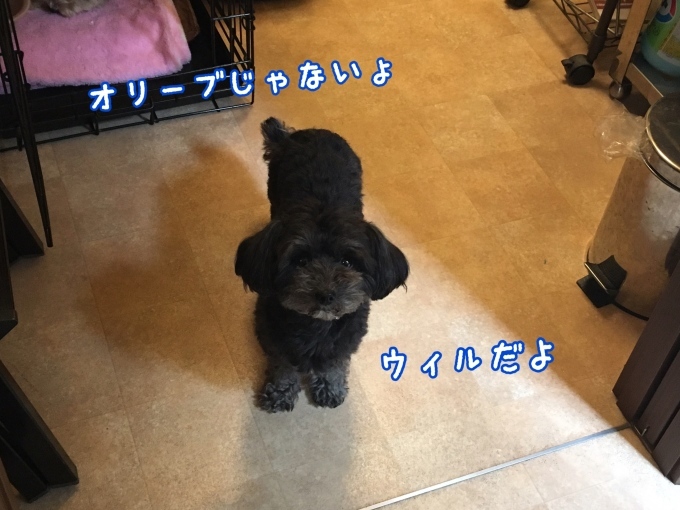 d0269898_18300797.jpeg