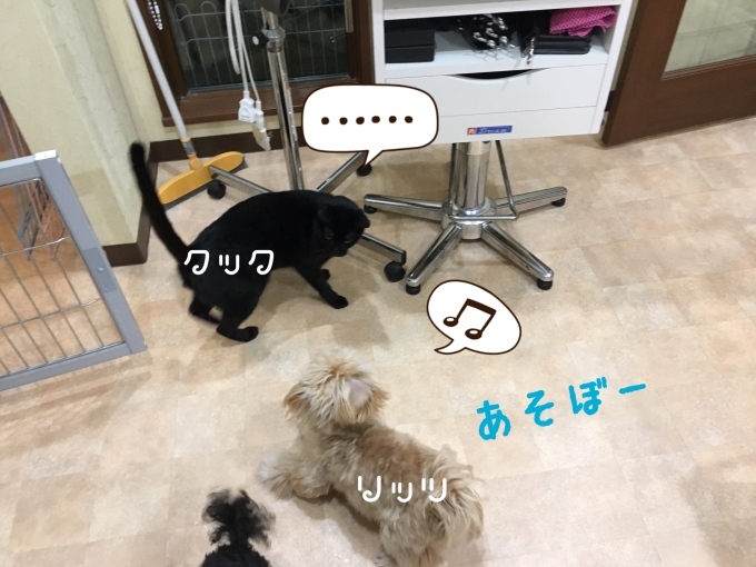 d0269898_18302934.jpeg