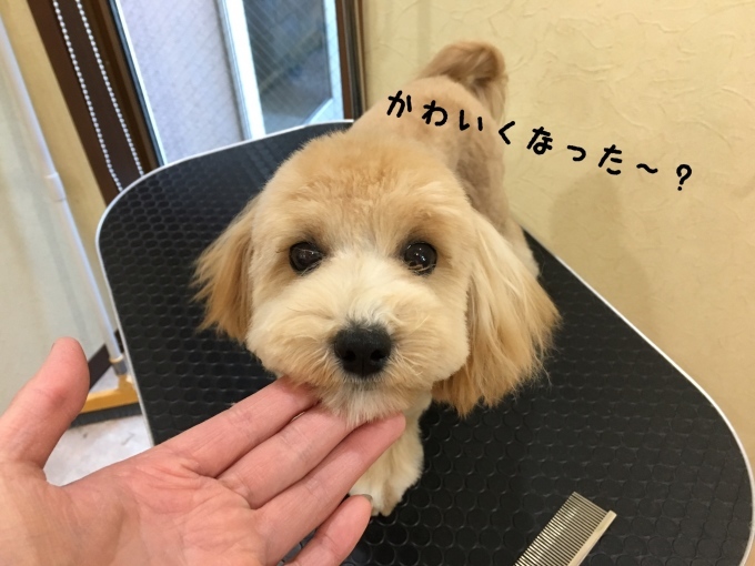 d0269898_18313045.jpeg
