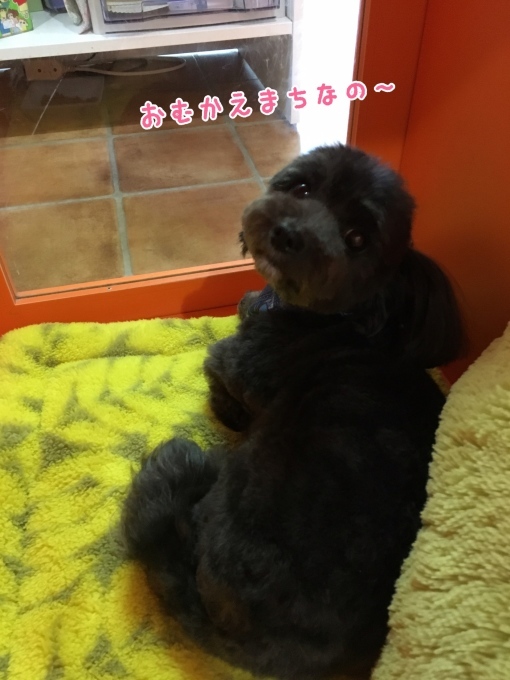 d0269898_18314970.jpeg