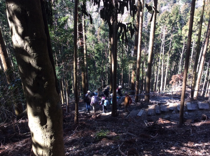ついに来たぞ、、鞍馬山、貴船_b0110999_17364280.jpeg