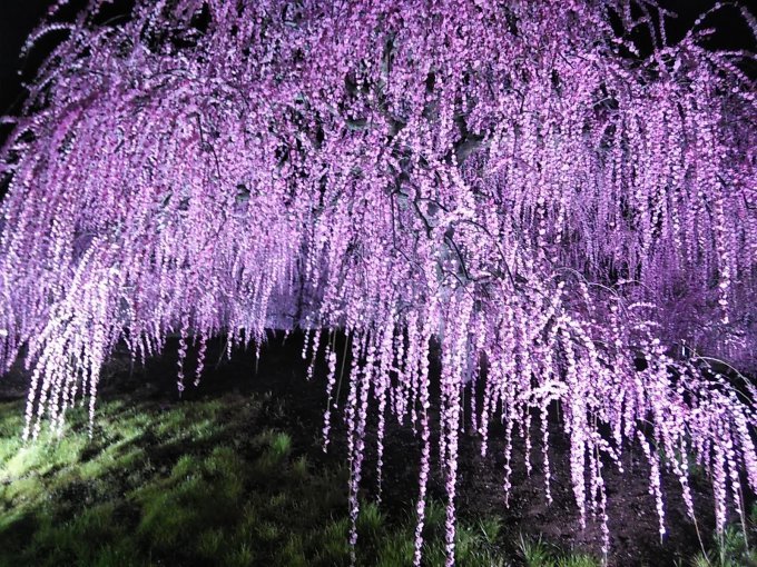 思い立ったら････････_b0331802_21154626.jpg