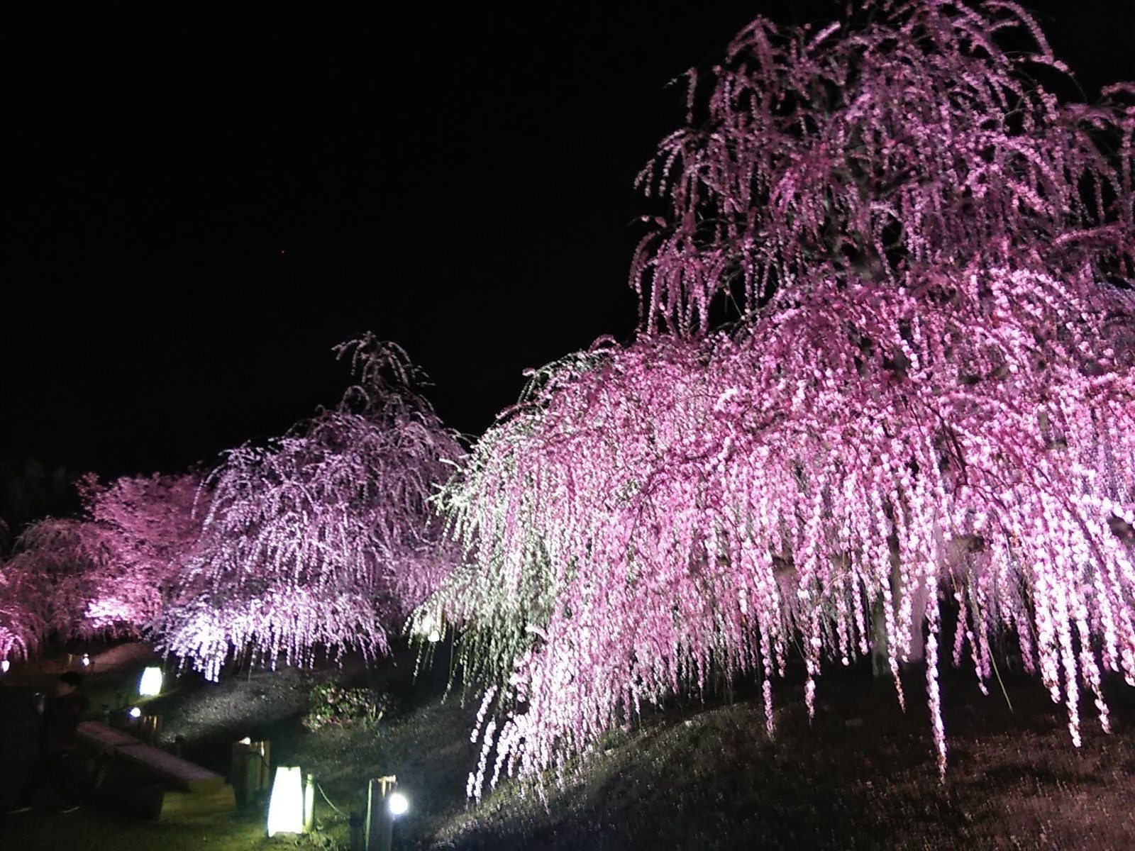 思い立ったら････････_b0331802_21154646.jpg