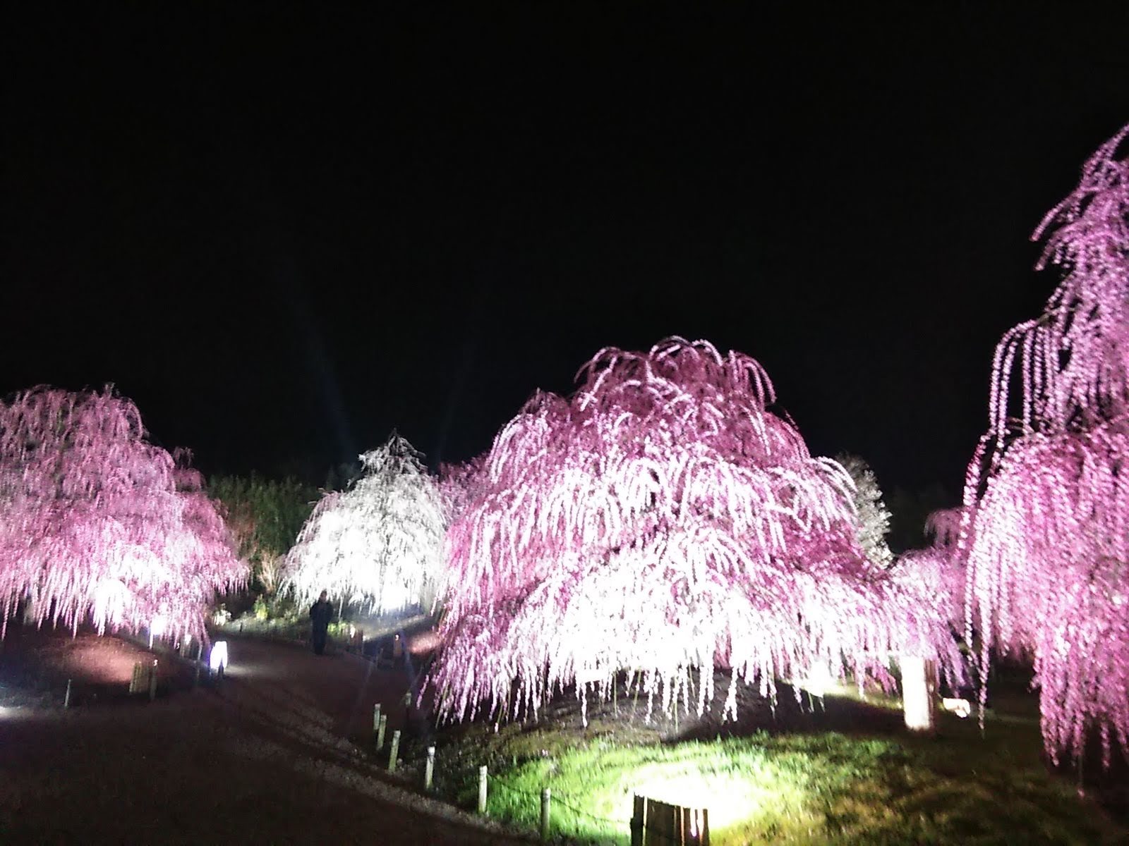 思い立ったら････････_b0331802_21154675.jpg