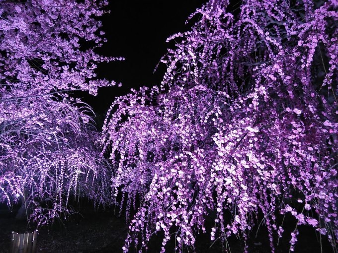 思い立ったら････････_b0331802_21162839.jpg