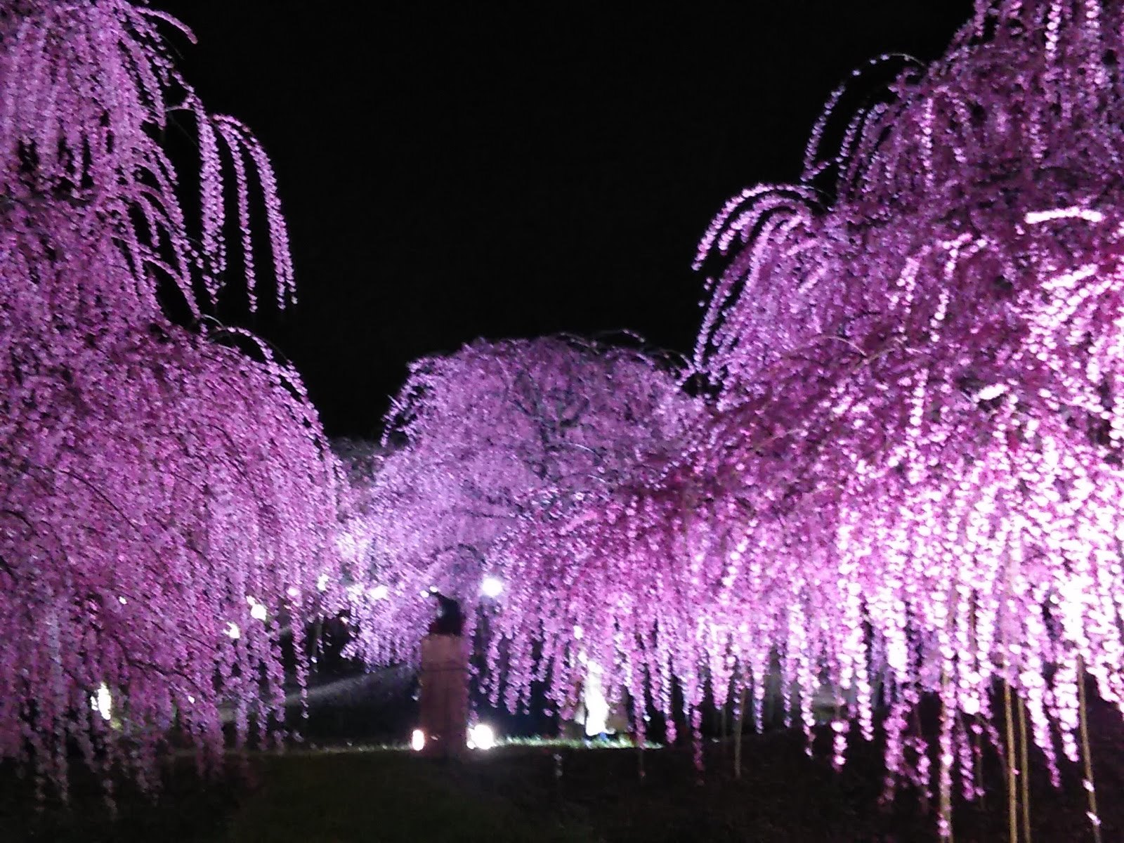思い立ったら････････_b0331802_21162846.jpg