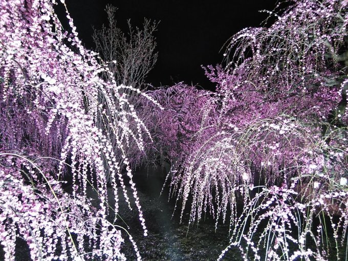 思い立ったら････････_b0331802_21162866.jpg