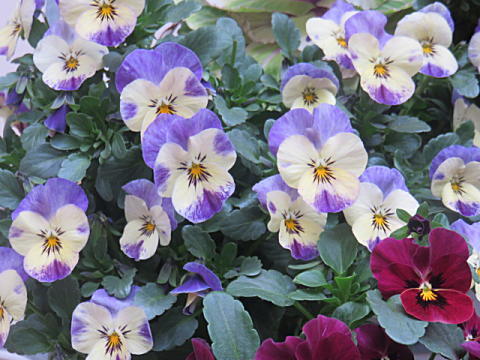 d0046702_07243183.jpg
