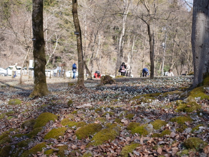 e0276411_00200635.jpg