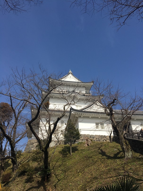 2019　小田原・箱根旅行　その1_f0043911_01450606.jpg