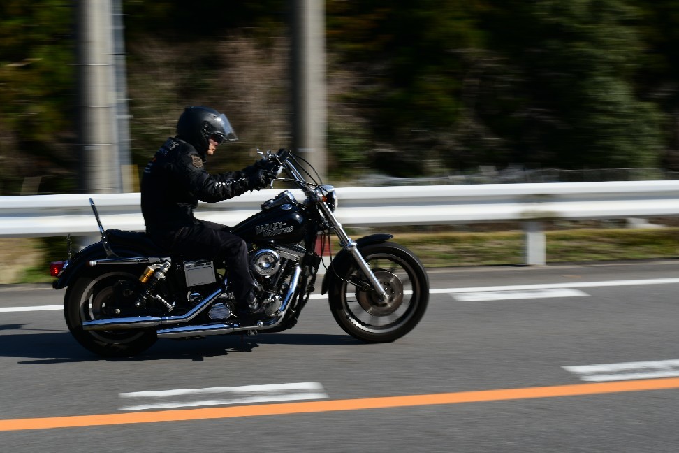 なんだかんだ賑やかな..._a0159215_01462478.jpg