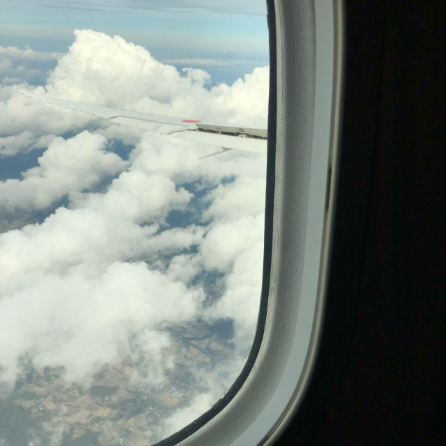 白い空のソウルへ パンダのお気に入り 白い空のソウルへ パンダのお気に入り