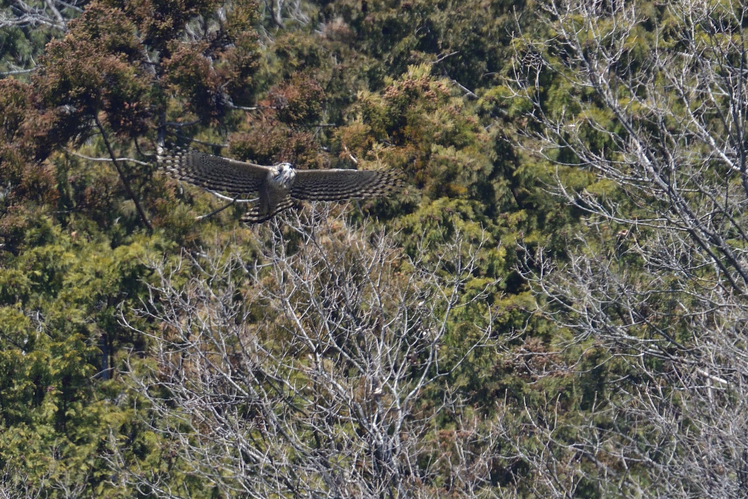 f0288418_01233810.jpg