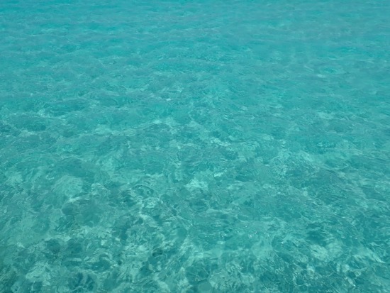 e0387424_16514332.jpg