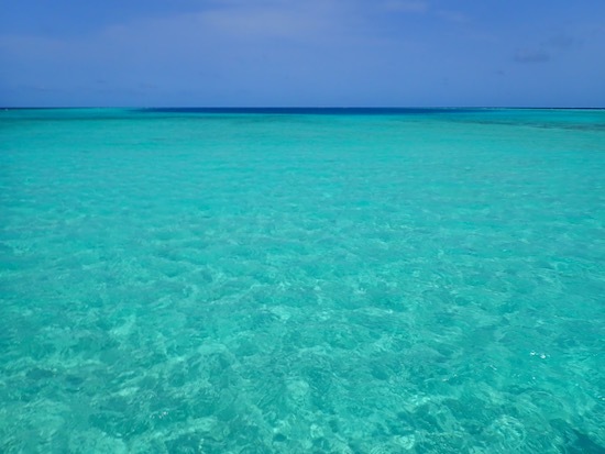 e0387424_16514377.jpg
