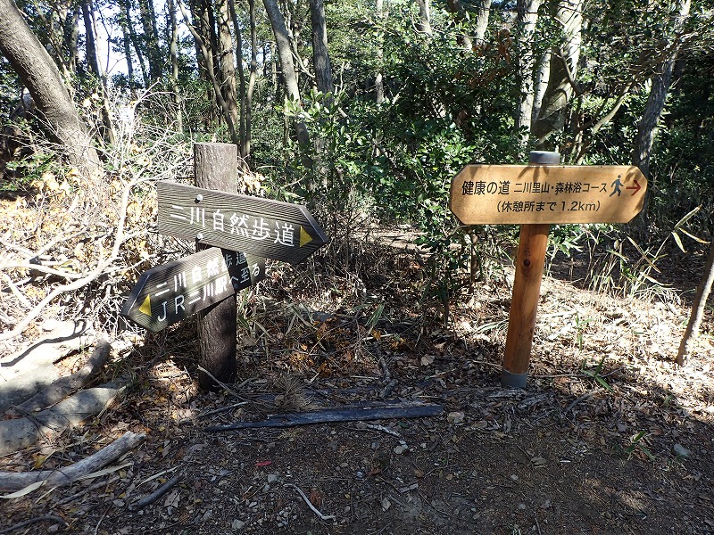 e0284726_19225198.jpg