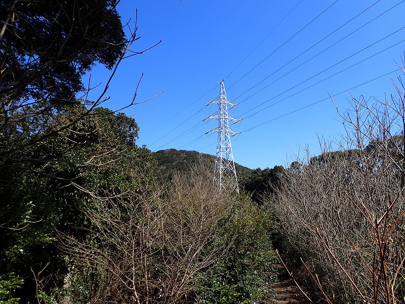 e0284726_19271658.jpg