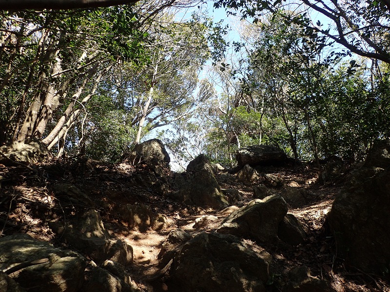 e0284726_19272830.jpg