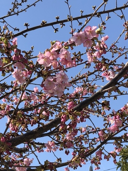 b0164428_23110103.jpeg