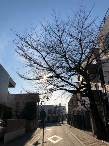 f0327534_08151838.jpg