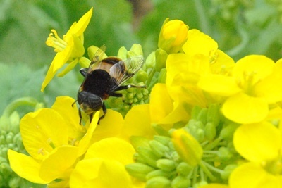 a0123836_16531968.jpg