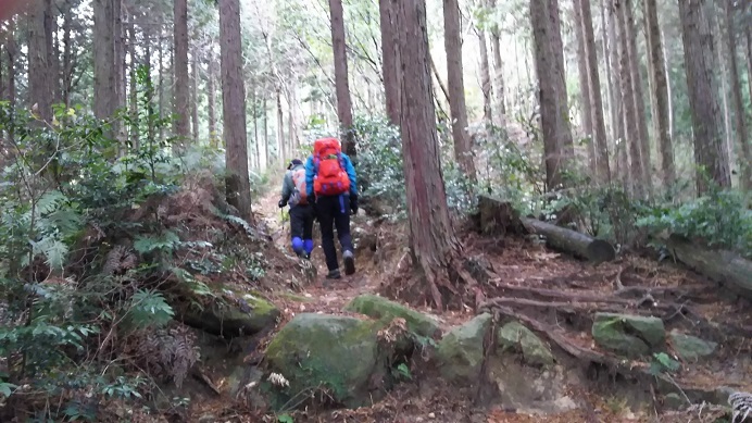 福岡県　金山（９６７ｍ）_c0077338_06494932.jpg