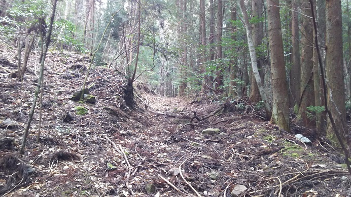 大阪５０山付録　北摂　堂床山（５８４ｍ）_c0077338_07073147.jpg