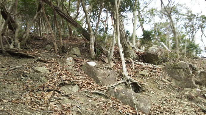 c0077338_07080863.jpg