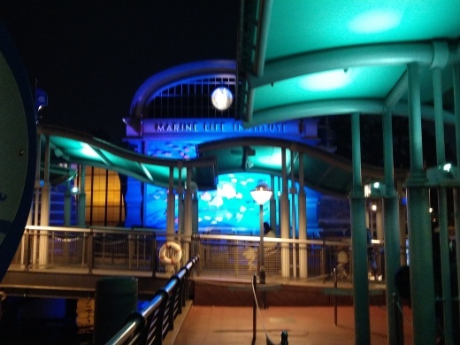 f0019846_21000212.jpg