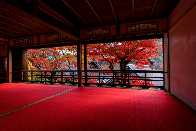 京の紅葉2018　柳谷観音・上書院の紅葉_f0155048_1812767.jpg