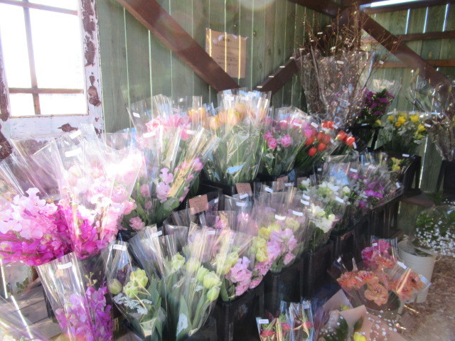 Gate Flower Field 店頭の旬の花束 300円が お買い得 ぴきょログ 軽井沢でぐーたら生活