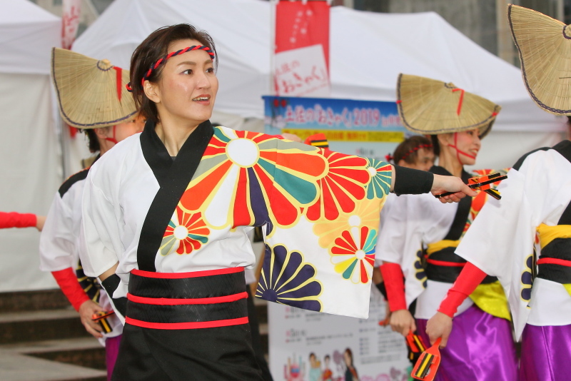 土佐のおきゃく2019「よさこい春の舞」帯屋町筋 その2_a0077663_19560186.jpg