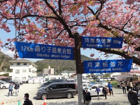 1306 踊り子温泉会館 Kotoe S Notebook 1306 踊り子温泉会館 Kotoe S Notebook