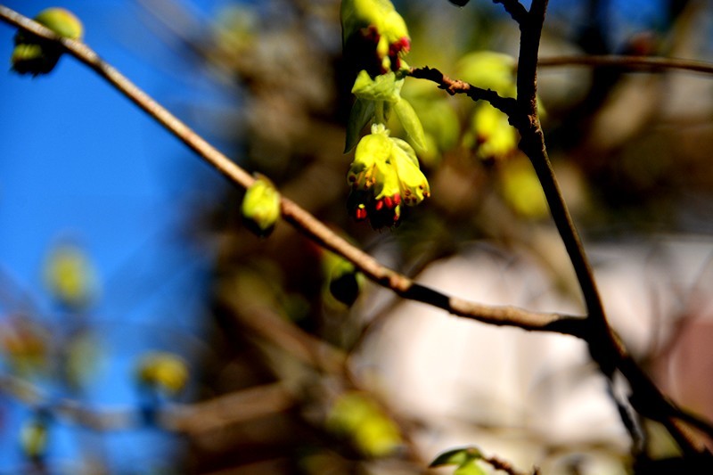 f0214467_09511583.jpg