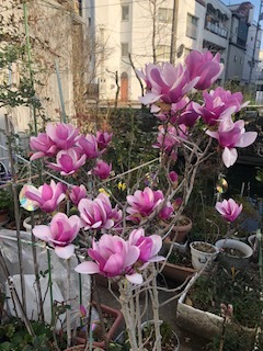 ぎりぎりはよくない_b0351169_20182201.jpg