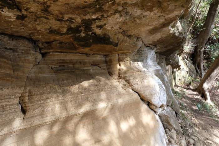 b0339488_23194426.jpg
