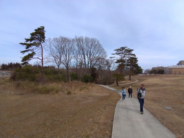 f0100593_17032072.jpg