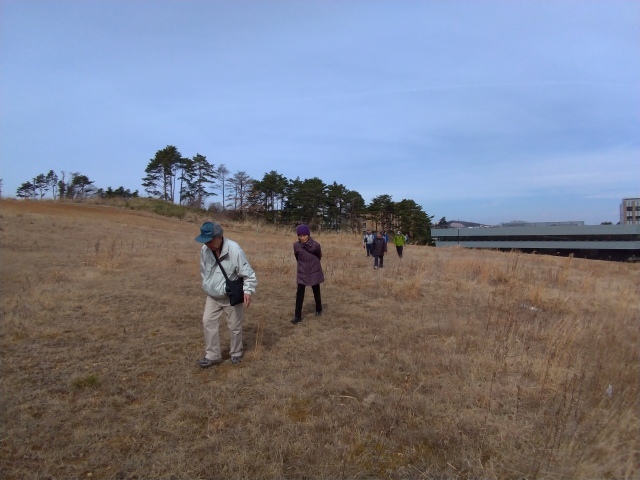 f0100593_17033005.jpg