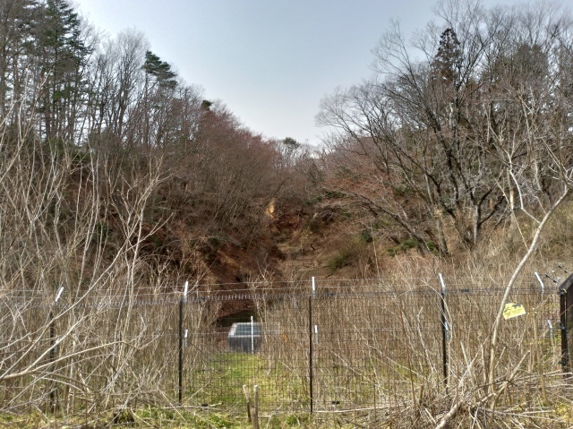 f0100593_17034594.jpg