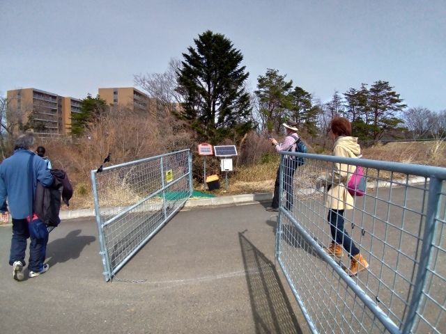 f0100593_17043441.jpg