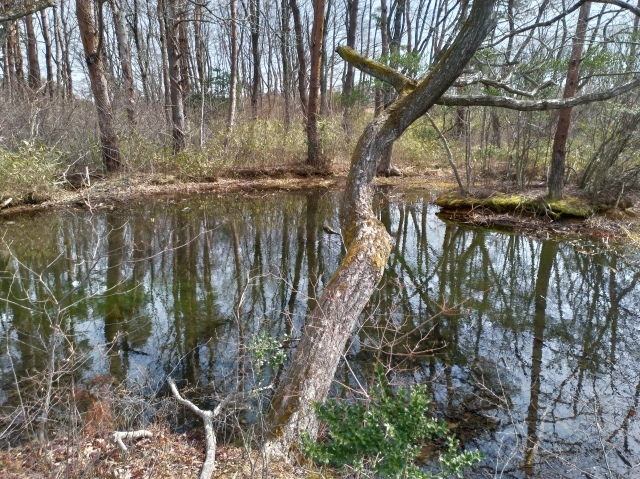 f0100593_17045102.jpg
