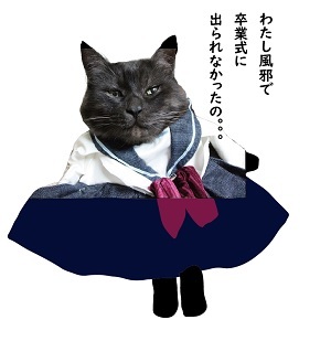 ホロ_a0333195_12023653.jpg