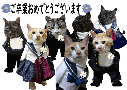 ホロ_a0333195_12174831.jpg
