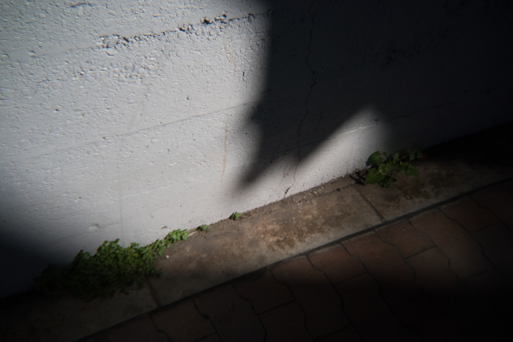 c0238497_23191186.jpg