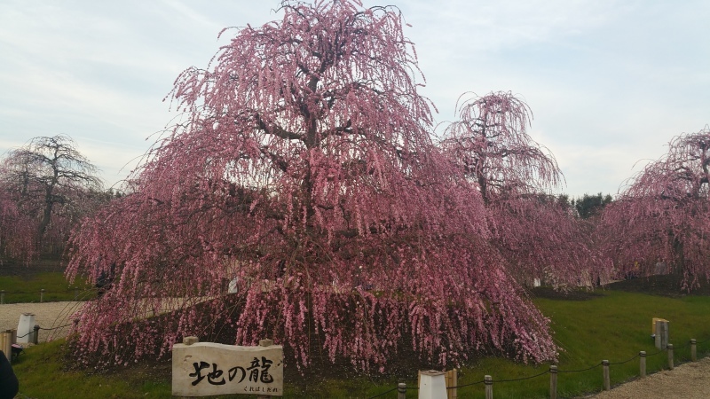 c0210803_11364273.jpg
